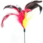 CAT TEASER - CHICKEN FEATHER (RED) BW/AT3633