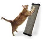 LEAN-IT EVERYWHERE SCRATCH POST (LARGE) ASSORTED OMP0WLSPM3