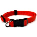 NYLON COLLAR (RED) (SMALL) BWNCN10KRDS
