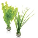 EASY PLANT SET - SMALL (GREEN) BIO46055