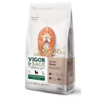LILY ROOT BEAUTY - SALMON (GRAIN FREE) (SMALL BREED DOGS) 2kg VNS017003