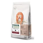 LILY ROOT BEAUTY - SALMON (GRAIN FREE) FOR DOG 2kg VNS017061