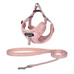 DOG HARNESS WITH LEASH (PINK) (10mmx22-32cm) BWDG3809