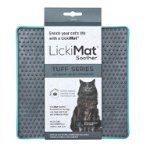 TUFF SOOTHER TURQUOISE CAT LM9022TQ-CR